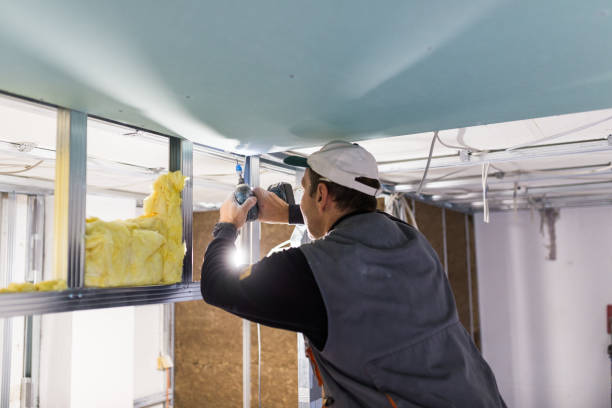 Best Insulation Contractor Near Me  in South Barrington, IL