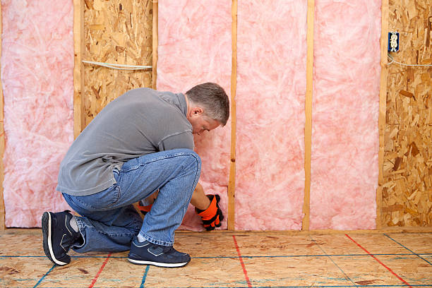 Best Insulation Inspection Services  in South Barrington, IL
